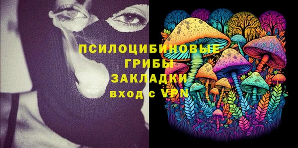 PSILOCYBIN Осташков